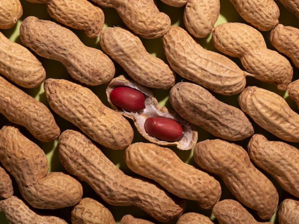 peanuts 7 - Photo Gallery