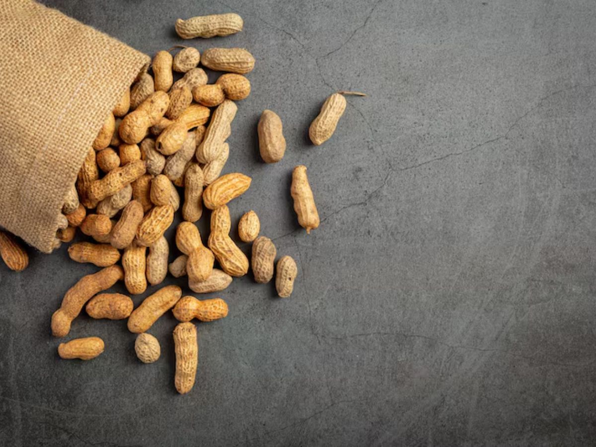 peanuts 8 - Photo Gallery