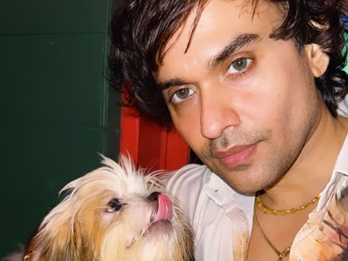 Adult Film Star - Photo Gallery