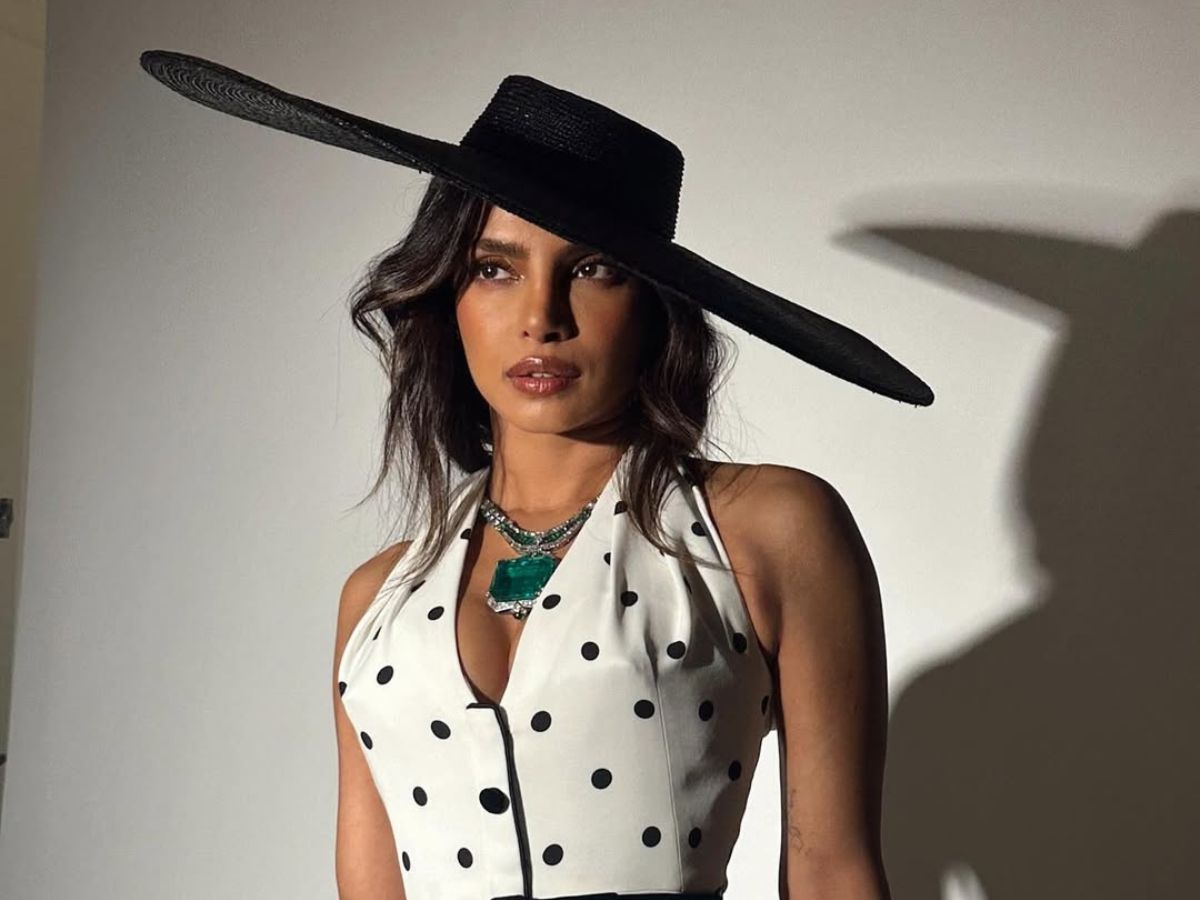 प्रियंका चोपड़ा से लेकर शाहरुख तक इन 7 स्टार्स ने जब ‘खलनायक’ बनकर हिला दिया पूरा बॉलीवुड! - Photo Gallery