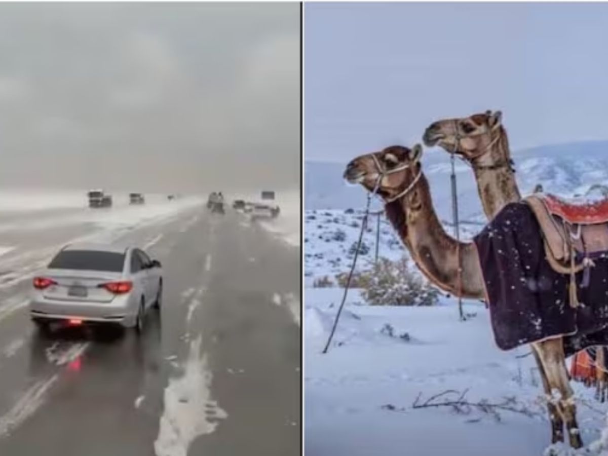 Saudi Arabia Snowfall: सऊदी अरब में बर्फबारी! 30 साल बाद दिखा कुदरत का करिश्मा, यहां देखें खूबसूरत तस्वीरें - Photo Gallery