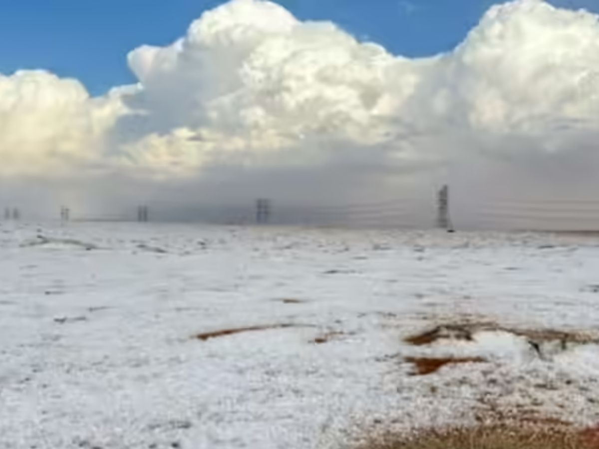 Saudi Arabia Snowfall: सऊदी अरब में बर्फबारी! 30 साल बाद दिखा कुदरत का करिश्मा, यहां देखें खूबसूरत तस्वीरें - Photo Gallery