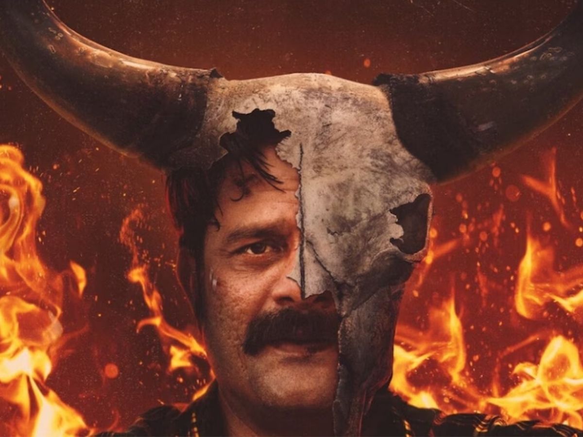 साल 2025 में इन सितारों ने लूटी महफिल, पर्दे पर दिखा किलर अंदाज; जानें कौन-कौन है इस लिस्ट में शामिल? - Photo Gallery