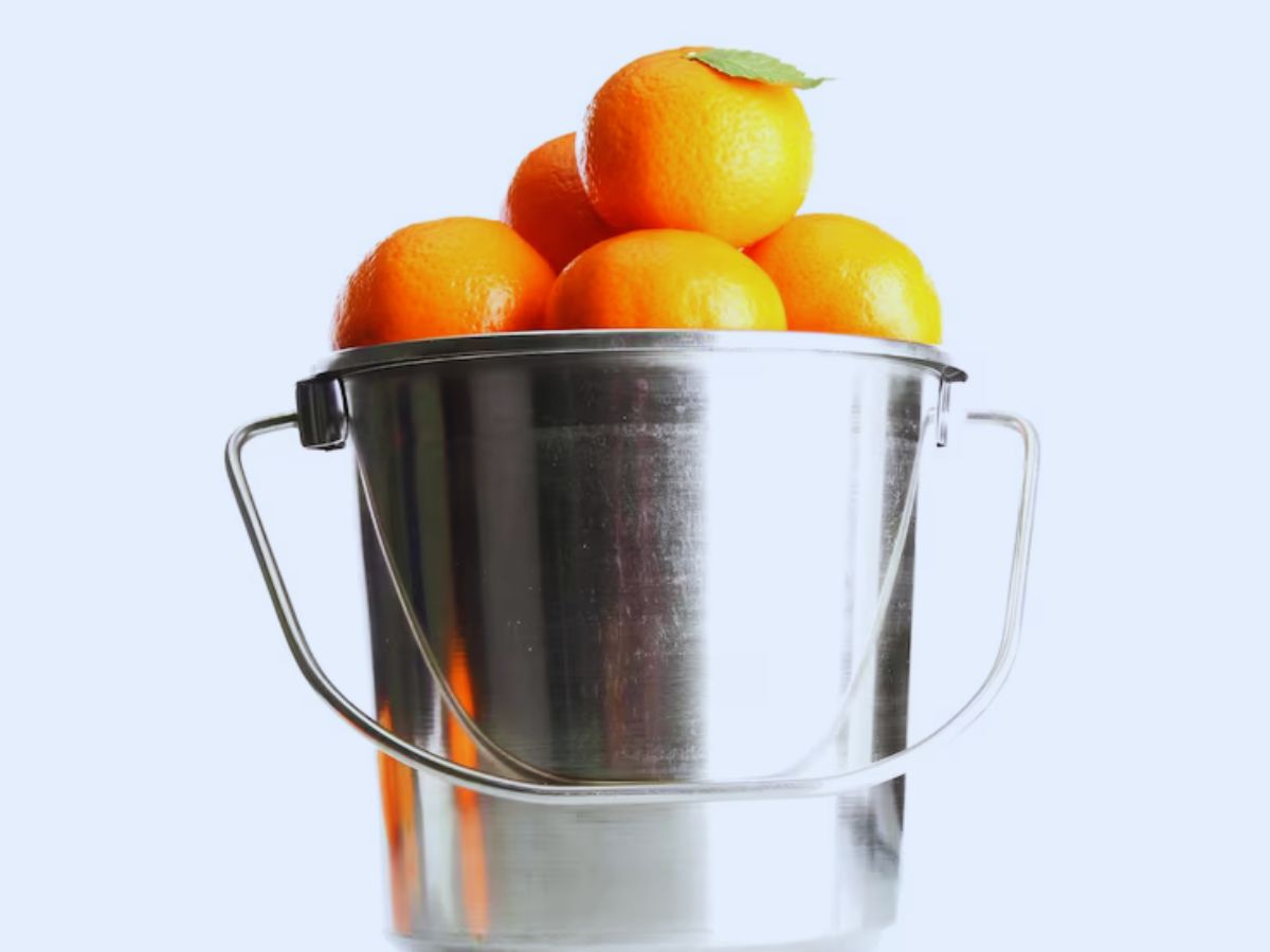 steel  4 - Photo Gallery