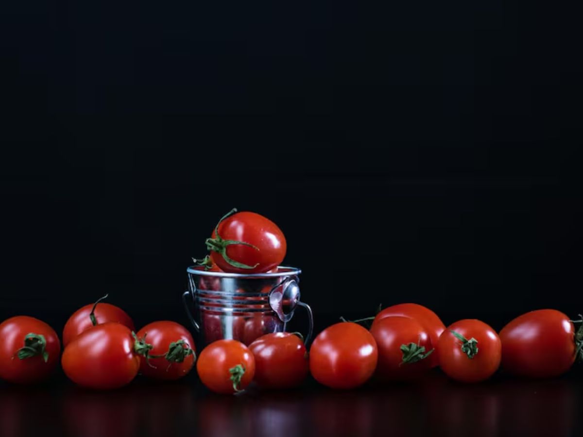 steel  6 - Photo Gallery