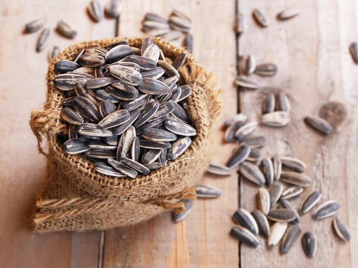 sunflower seeds for healthy body - Photo Gallery