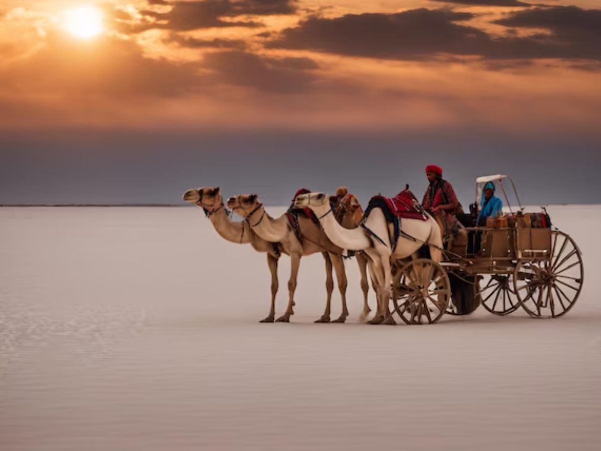 sunny destinations 5 - Photo Gallery