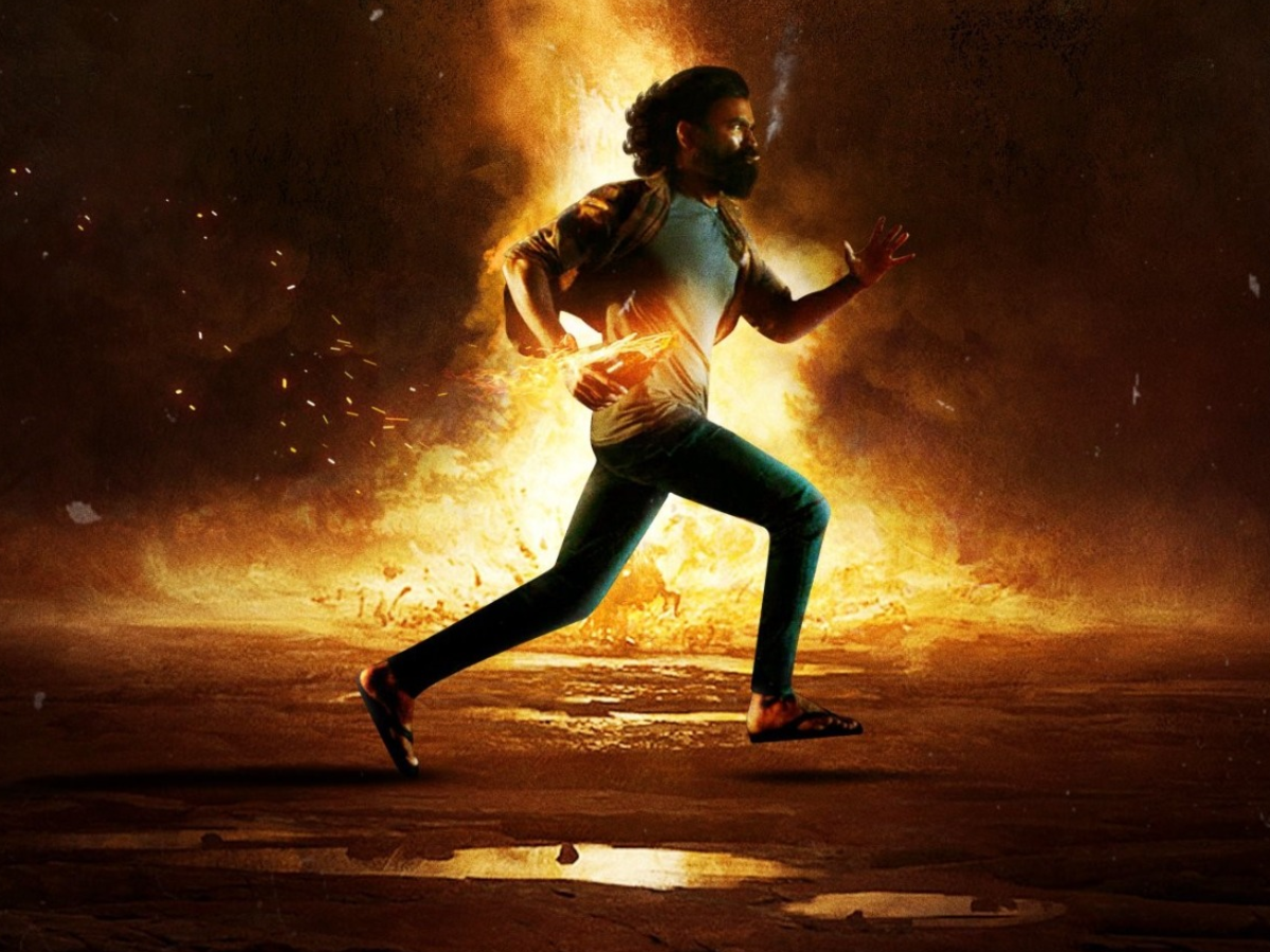 Box Office Collection: कृति-धनुष की ‘तेरे इश्क में’ की कमाई 50 करोड़ पार, ‘गुस्ताख इश्क’ का निकला दम - Photo Gallery