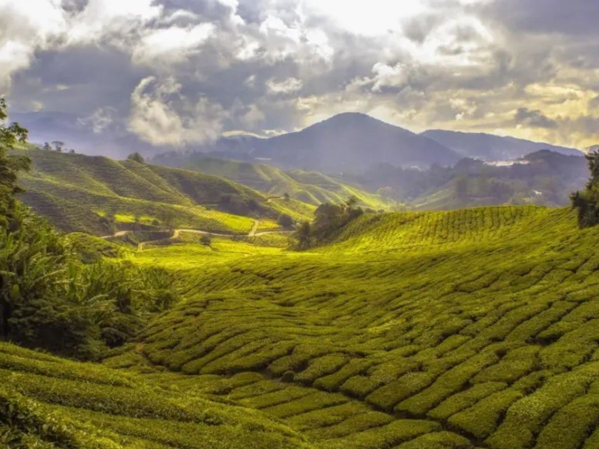 Eco-Friendly Year-End Holidays: भूल जाइए मनाली की भीड़! ये हैं देश-दुनिया की 10 सबसे प्रदूषण मुक्त जगहें, जहां बिना मास्क के मनाएं नए साल का जश्न - Photo Gallery