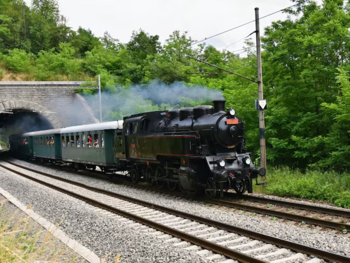 train 2 - Photo Gallery