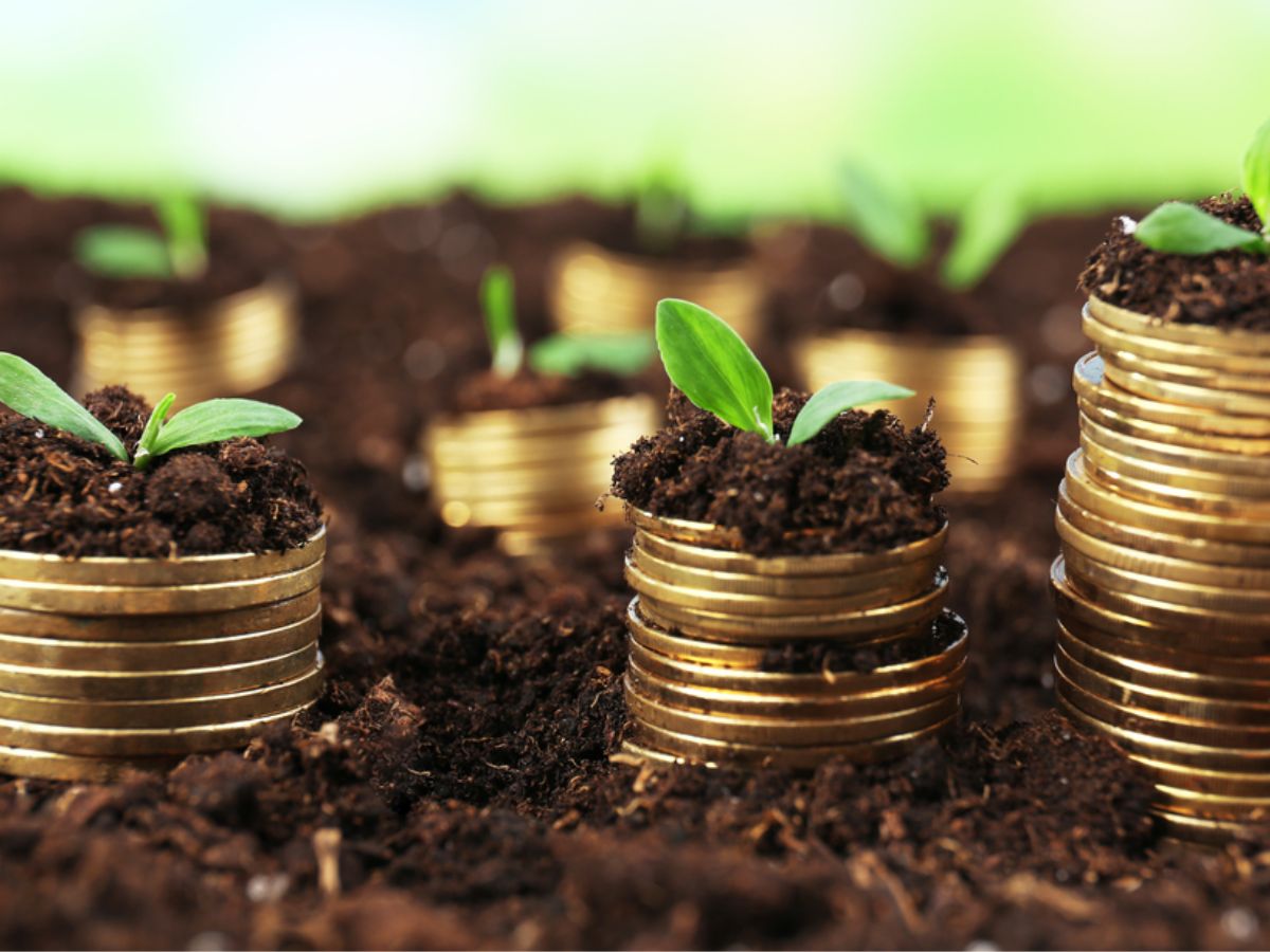 Investment - Photo Gallery