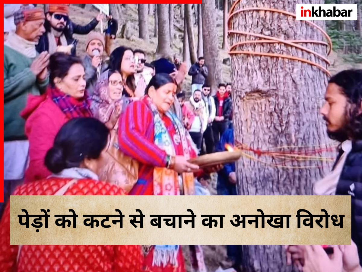 Uttarkashi Highway Tree Cutting