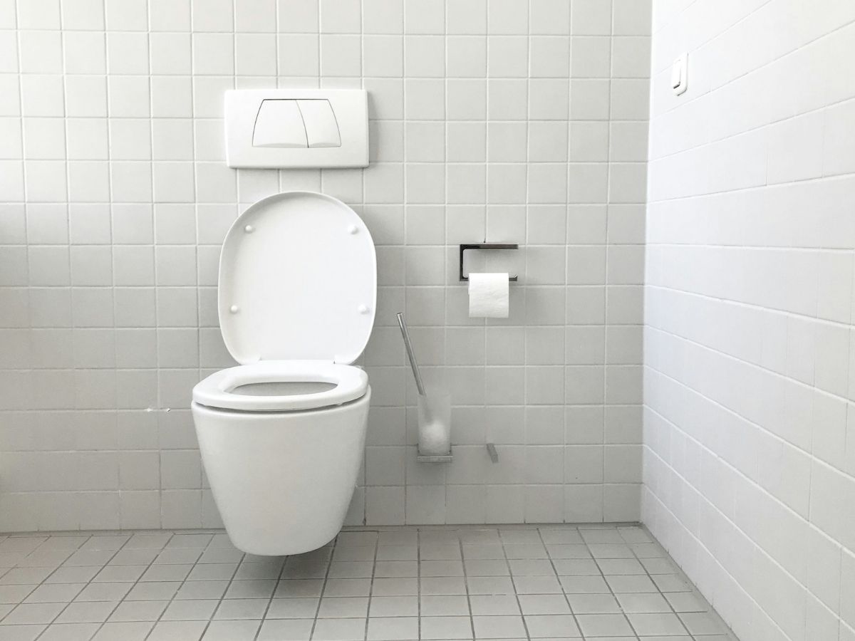 सू-सू और पॉटी तक बैग में रखकर ले जाते हैं ये नेता, जानिए क्यों किसी देश में अपना मल-मूत्र तक नहीं छोड़ते? - Photo Gallery