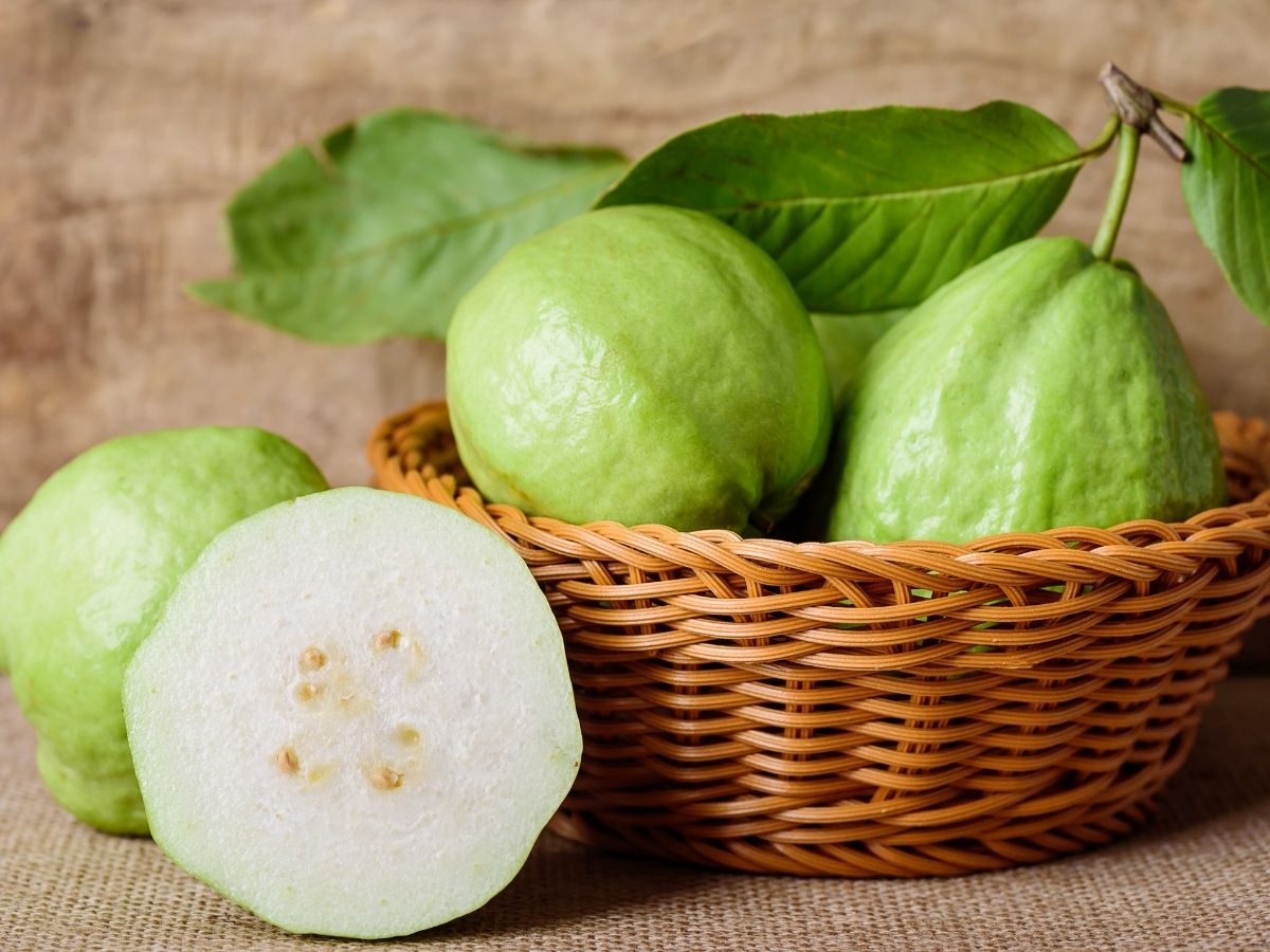 Winter Foods: क्या आप भी झेल रहे ठंड की मार और हो गए बीमार, तो इम्यूनिटी बढ़ाने के लिए डिनर-लंच में शामिल करें ये फूड - Photo Gallery