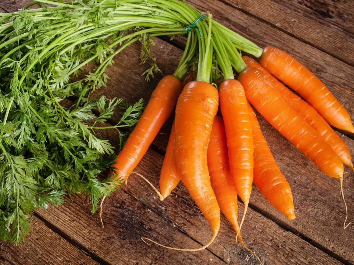 Winter Foods: क्या आप भी झेल रहे ठंड की मार और हो गए बीमार, तो इम्यूनिटी बढ़ाने के लिए डिनर-लंच में शामिल करें ये फूड - Photo Gallery