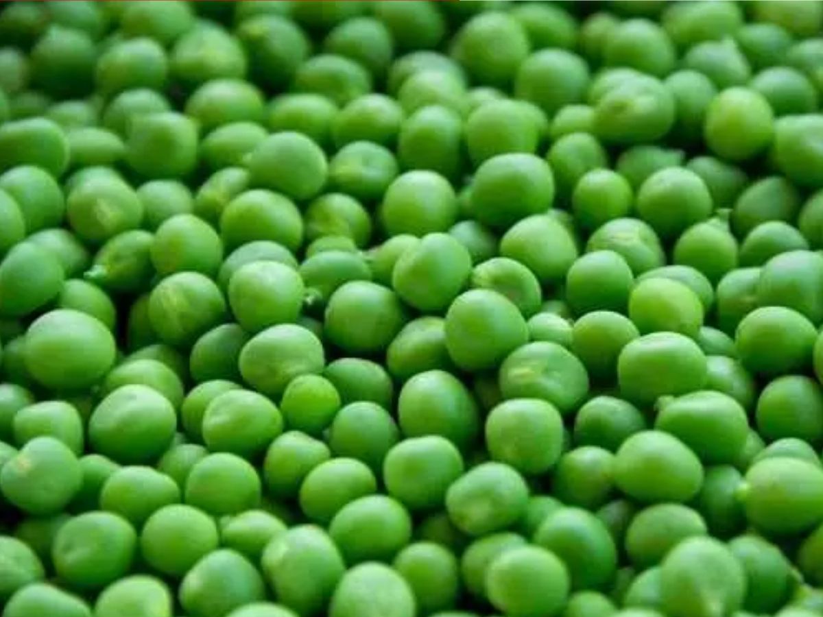 Winter Foods: क्या आप भी झेल रहे ठंड की मार और हो गए बीमार, तो इम्यूनिटी बढ़ाने के लिए डिनर-लंच में शामिल करें ये फूड - Photo Gallery