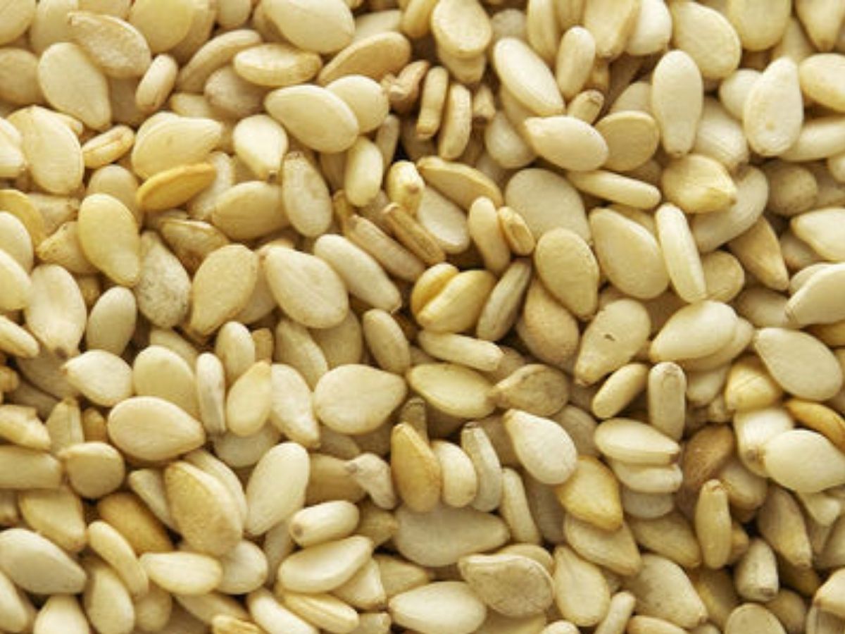 Winter Foods: क्या आप भी झेल रहे ठंड की मार और हो गए बीमार, तो इम्यूनिटी बढ़ाने के लिए डिनर-लंच में शामिल करें ये फूड - Photo Gallery