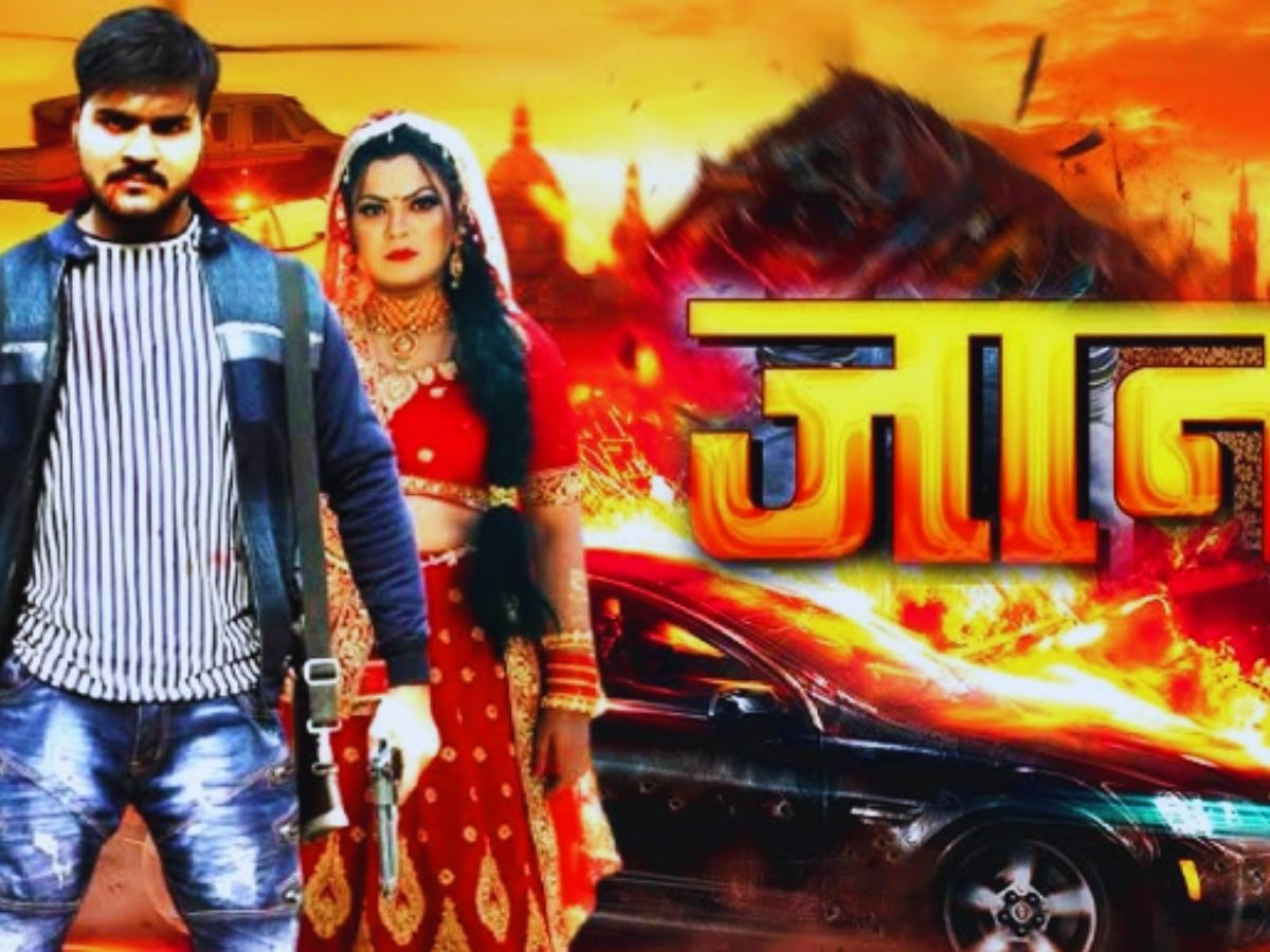 Year Ender 2025 Top Bhojpuri Films 4 - Photo Gallery