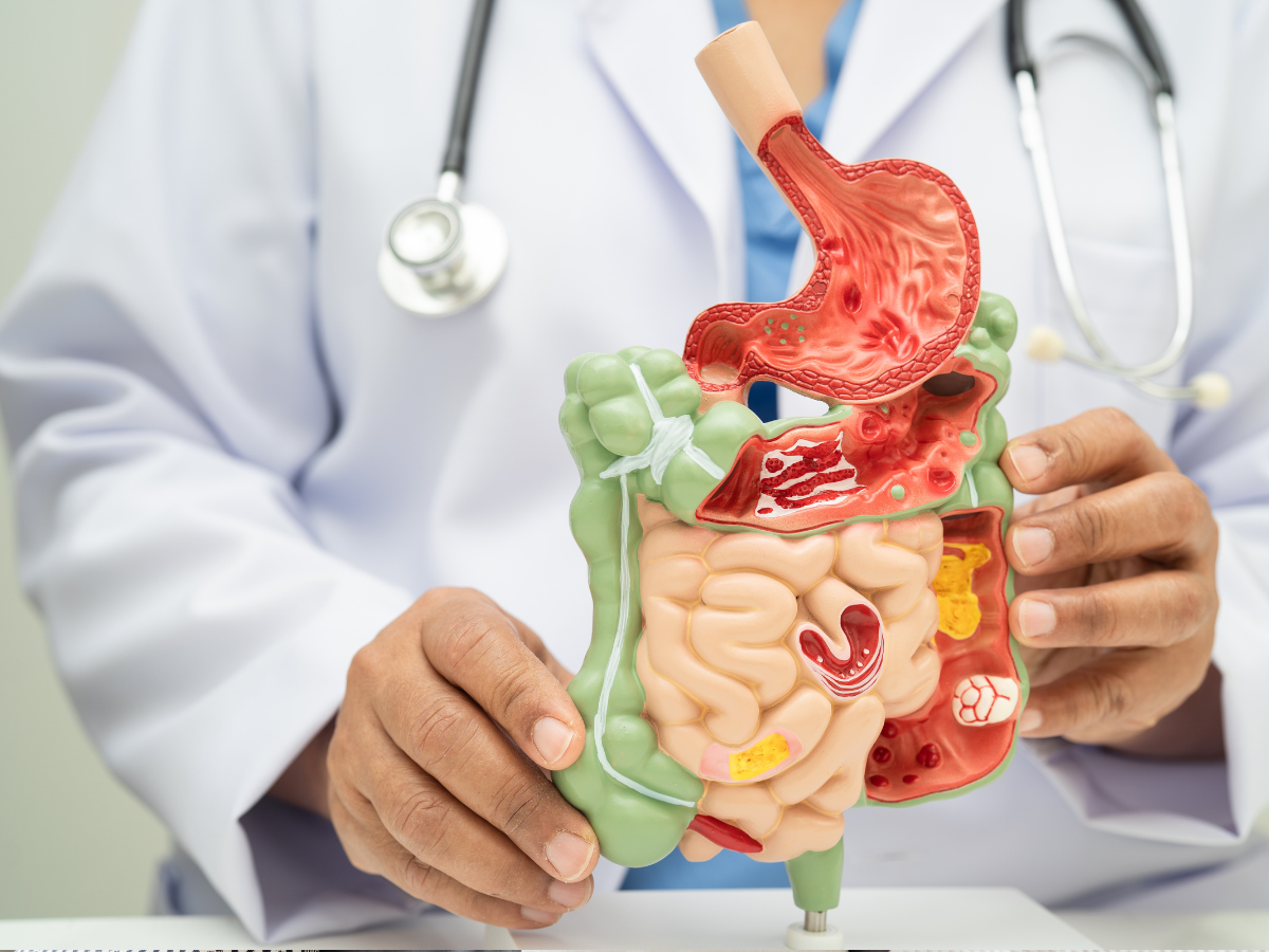 विंटर में केसर बनेगा आपका शानदार हेल्थ बूस्टर, यहां जानें इसे 8 पावरफुल फायदे - Photo Gallery