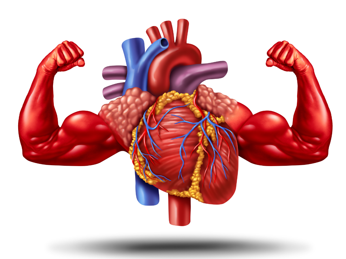 विंटर में केसर बनेगा आपका शानदार हेल्थ बूस्टर, यहां जानें इसे 8 पावरफुल फायदे - Photo Gallery