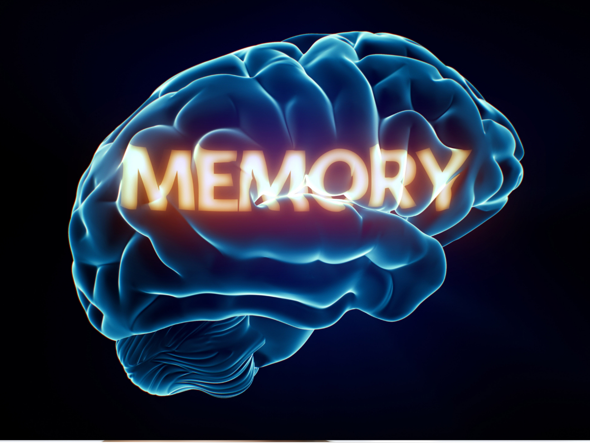 विंटर में केसर बनेगा आपका शानदार हेल्थ बूस्टर, यहां जानें इसे 8 पावरफुल फायदे - Photo Gallery