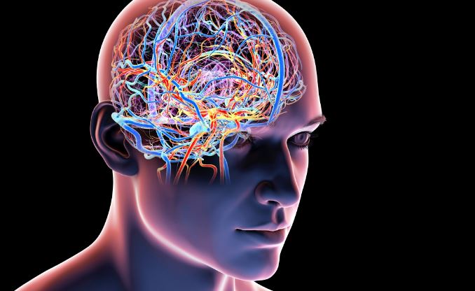 Makes the brain sharp - Photo Gallery