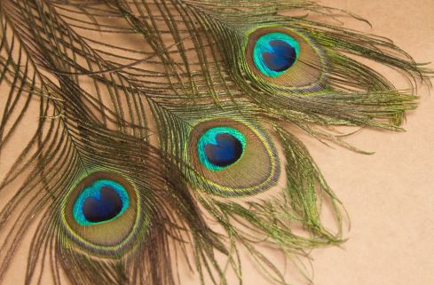 Pending work will be completed - Photo Gallery