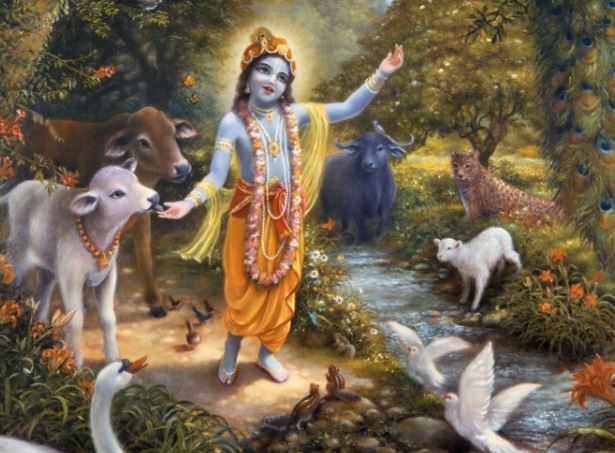 Blessings of lord krishna - Photo Gallery