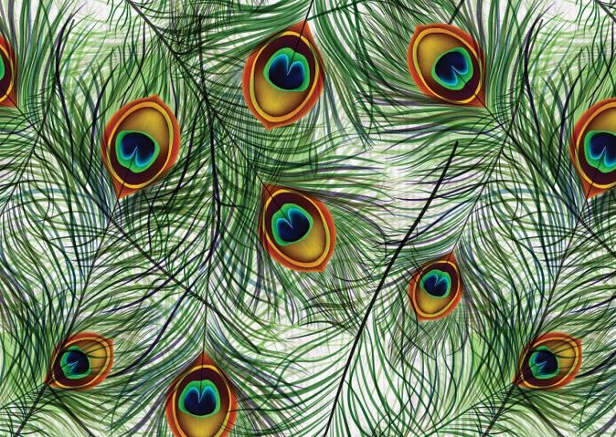 There may be yoga for financial gain - Photo Gallery