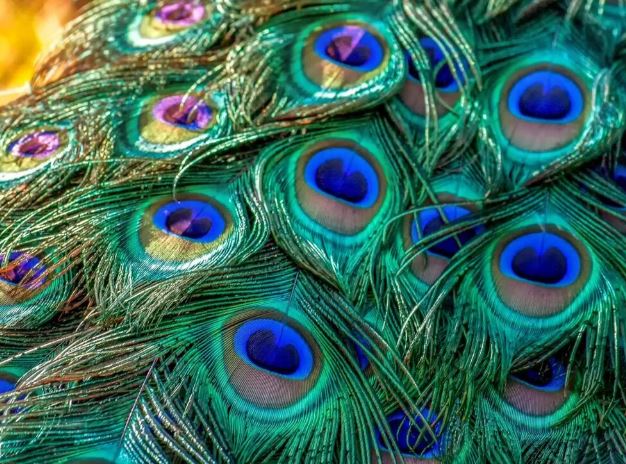 Possibility of eliminating negativity - Photo Gallery