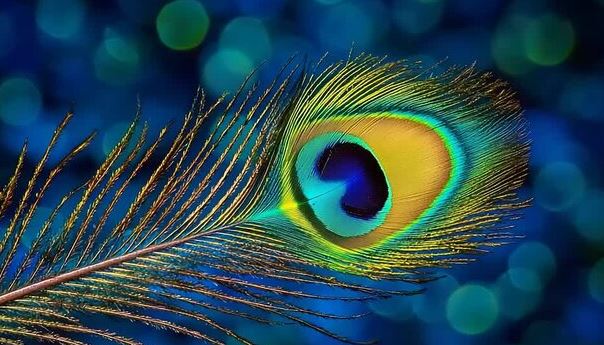 Sweetness in married life - Photo Gallery