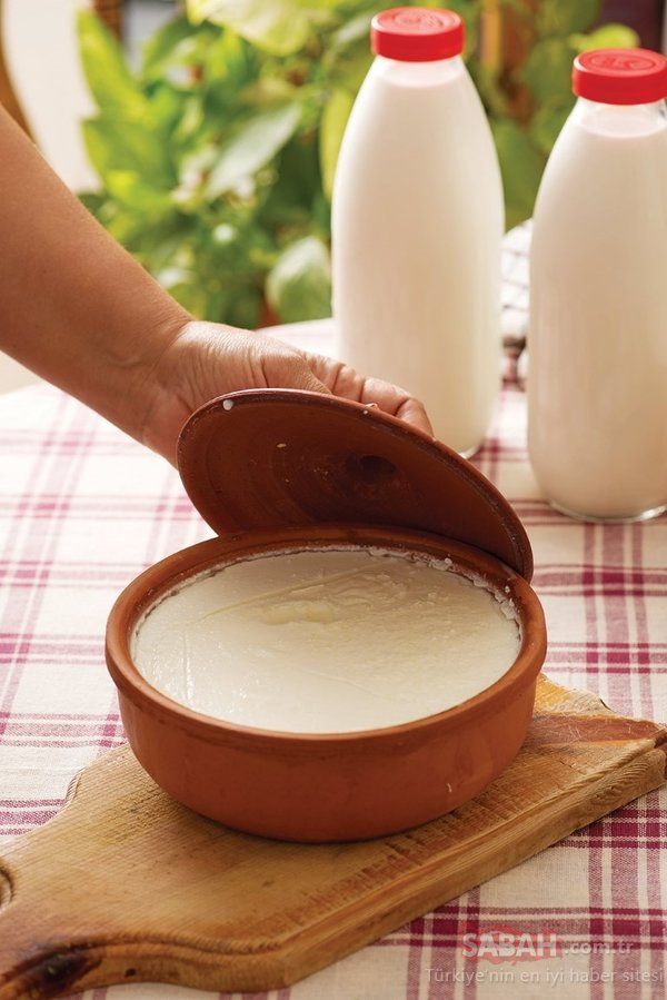 हिंदू धर्म में दही का विशेष महत्व, लेकिन इस एक कारण से बन सकता है अशुभ,जानें वजह - Photo Gallery