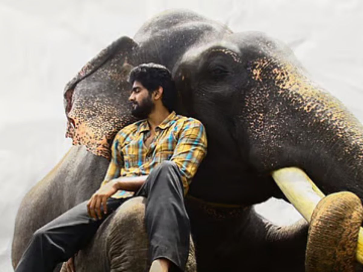 OTT पर घर बेठे देखें ये 7 जबरदस्त फिल्में-सीरीज, वीकेंड पर आ जाएगा मजा! - Photo Gallery