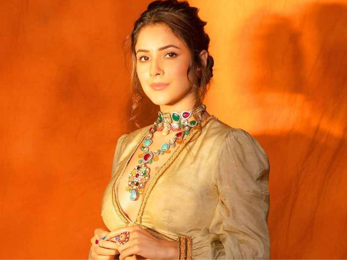 सुसाइड करने चली थीं शहनाज गिल? सिद्धार्थ की मौत से लेकर बॉलीवुड तक का सफर; जानें लाइफ स्ट्रगल - Photo Gallery