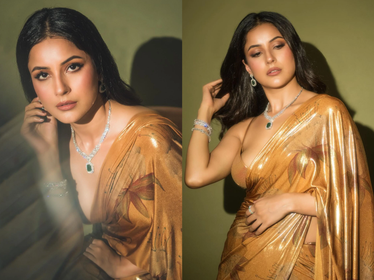 सुसाइड करने चली थीं शहनाज गिल? सिद्धार्थ की मौत से लेकर बॉलीवुड तक का सफर; जानें लाइफ स्ट्रगल - Photo Gallery