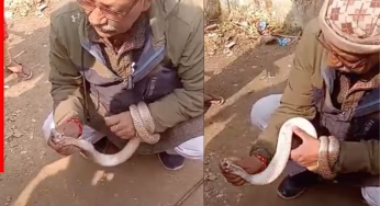 हाथ में सांप पकड़कर फैंटम बन रहे थे मास्टरजी, रील बनाने के चक्कर में हुआ कुछ ऐसा; डरा देगा मौत से पहले का Video