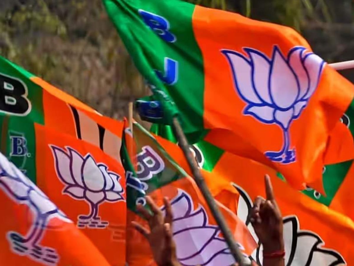 BJP को बनाने में किस-किस का योगदान? नितिन नवीन को संबोधित करते हुए PM Modi ने खोला बड़ा राज - Photo Gallery