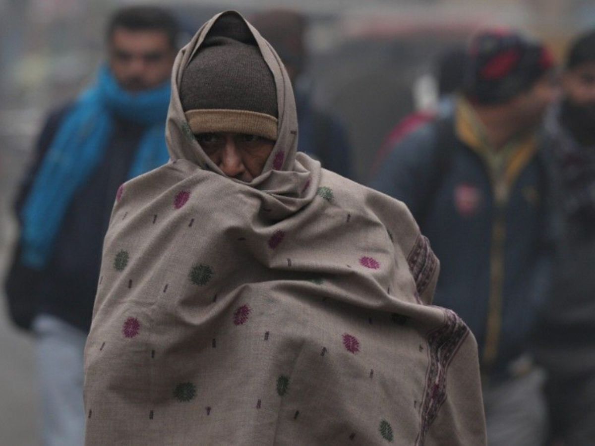 Cold Wave Alert: सर्द हवाओं में खुद को रखें फिट, आज से ही डाइट में शामिल करें यह फल दूर रहेगी सर्दी-खांसी - Photo Gallery