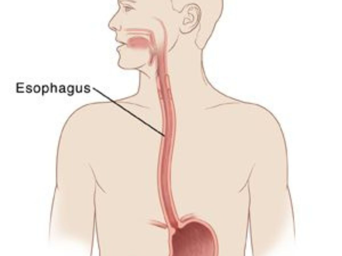 Dry Cough: रात में सोते समय क्यों बढ़ जाती है सूखी खांसी, जानें वजह और कब लें डॉक्टर से सलाह - Photo Gallery