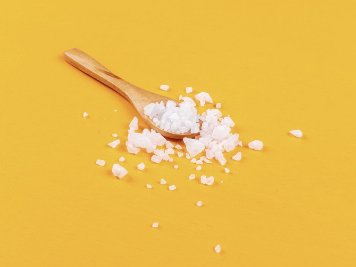 egg 3 - Photo Gallery