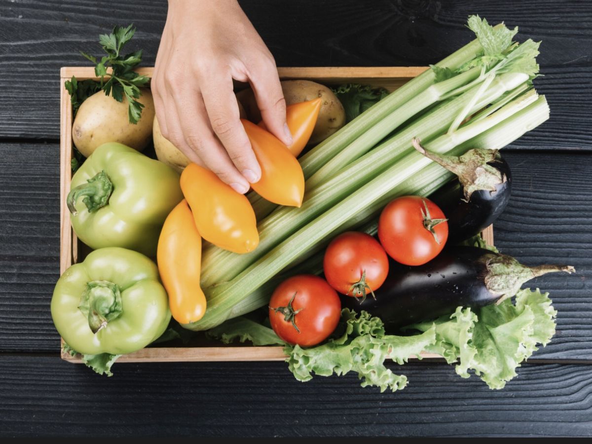 egg 4 - Photo Gallery