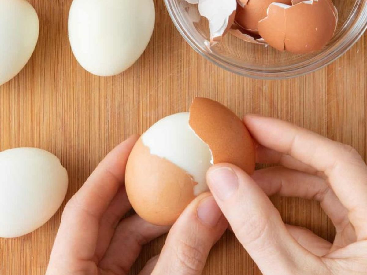 Boiled Egg vs Omelette: वेट लॉस और प्रोटीन इनटेक के लिए क्या है बेहतर, ऑमलेट या बॉयल्ड एग? - Photo Gallery