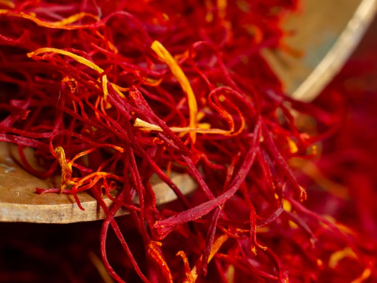 kesar 3 - Photo Gallery