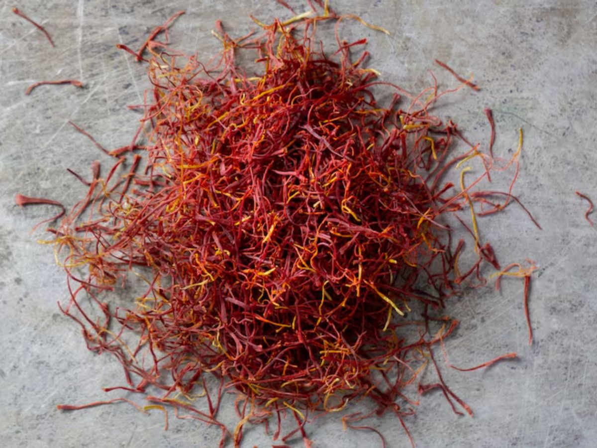 kesar 4 - Photo Gallery