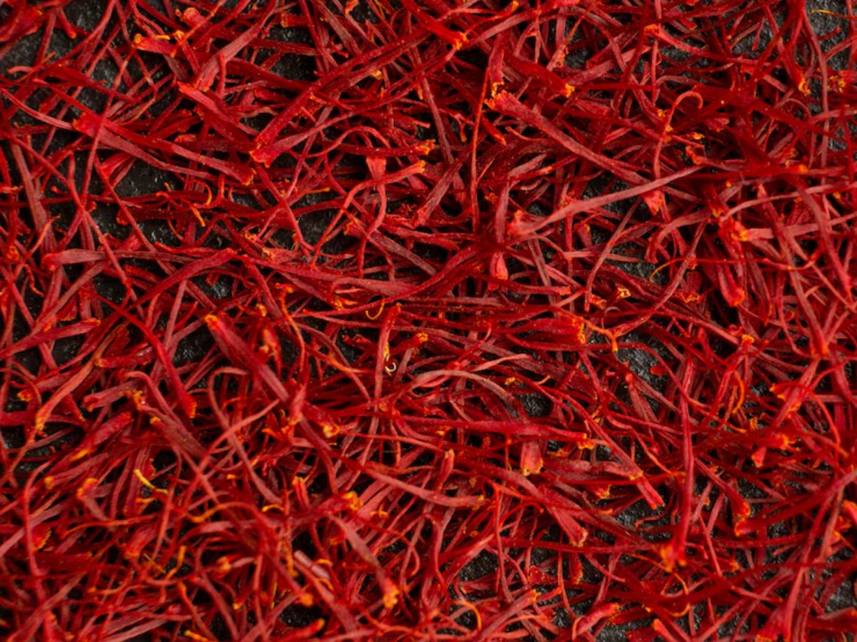 kesar 5 - Photo Gallery