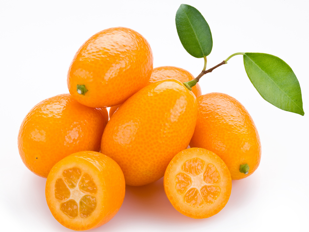 ये 10 विदेशी सर्दियों के फल कर देंगे हैरान; स्वाद से सेहत तक सब दमदार! - Photo Gallery