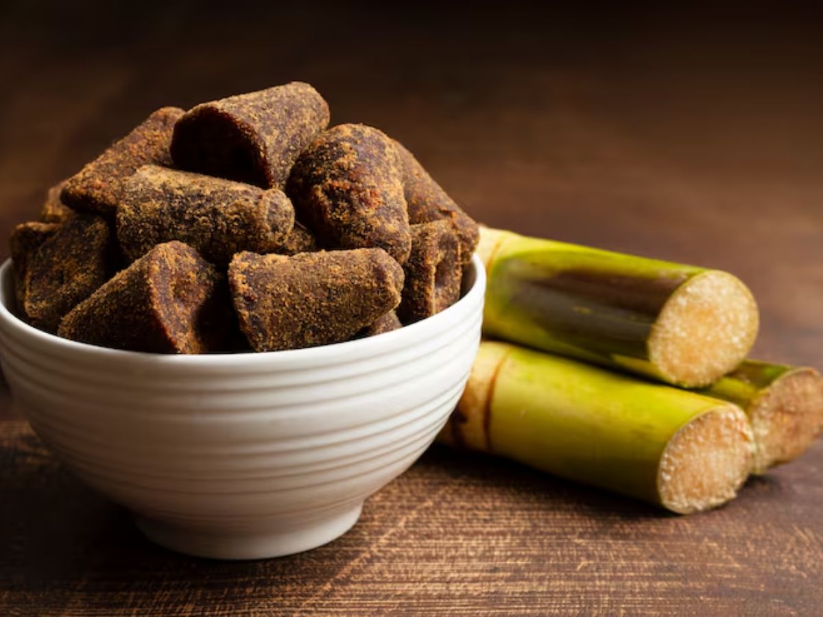 Makar Sankranti 2026 6 - Photo Gallery