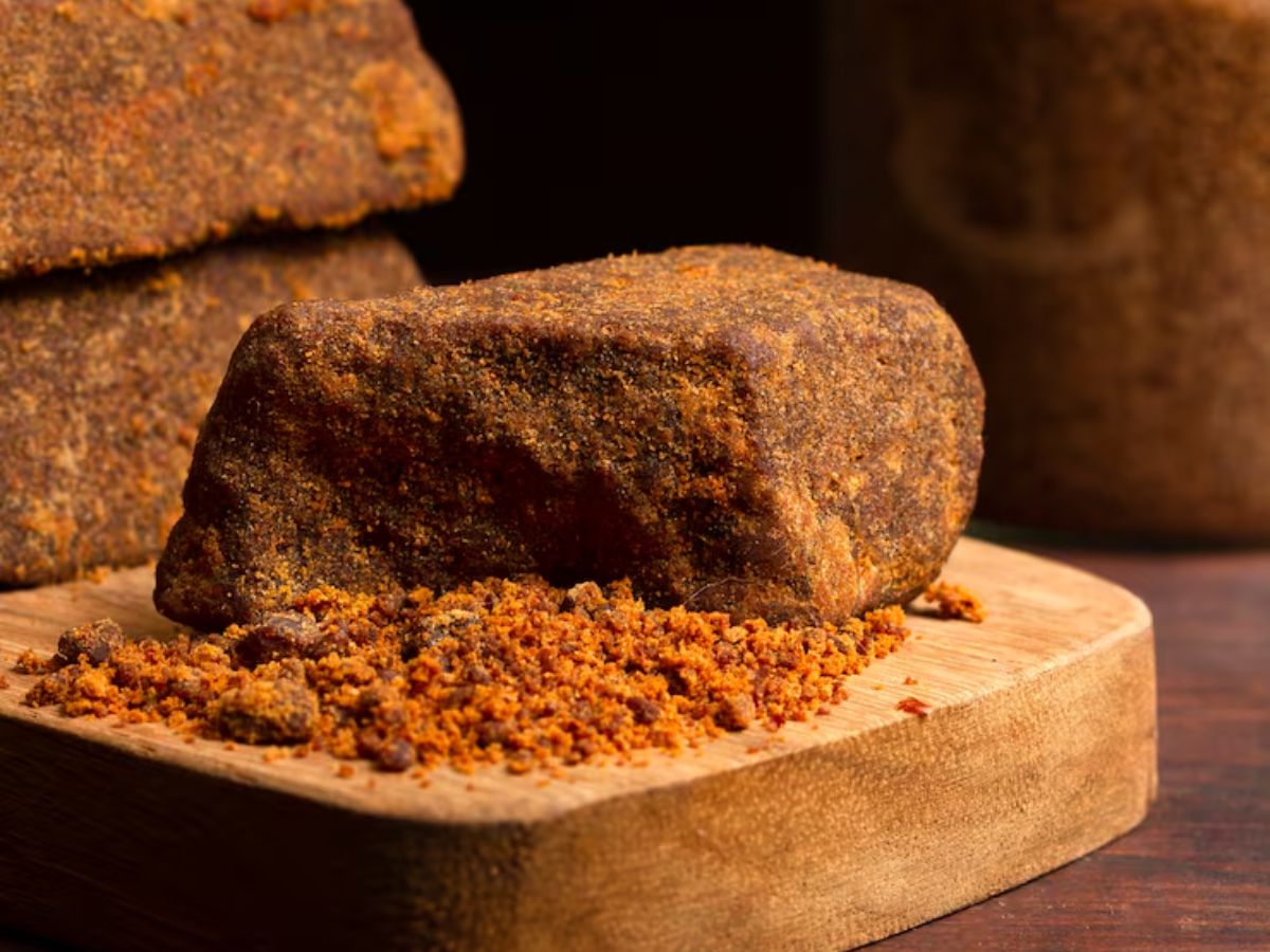 Makar Sankranti 2026 7 - Photo Gallery