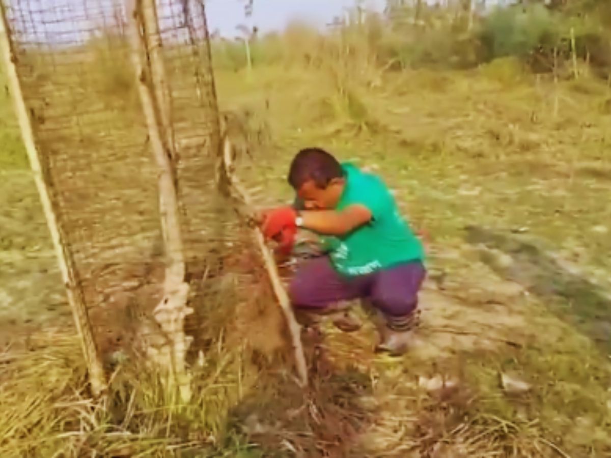 Mann Ki Baat - Photo Gallery