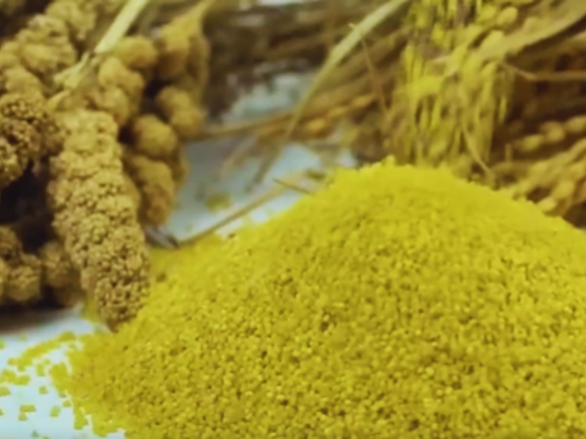 Mann Ki Baat - Photo Gallery